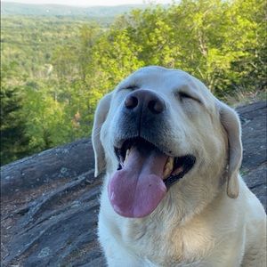 Meet your Posher, Tori